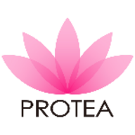 Protea Hair