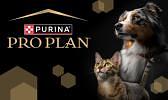 Purina